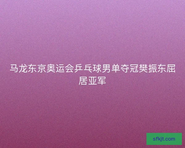 马龙东京奥运会乒乓球男单夺冠樊振东屈居亚军