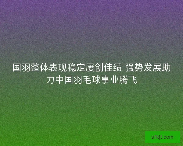 国羽整体表现稳定屡创佳绩 强势发展助力中国羽毛球事业腾飞