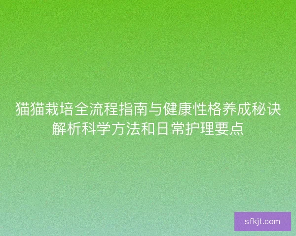 猫猫栽培全流程指南与健康性格养成秘诀解析科学方法和日常护理要点