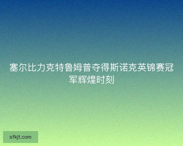 塞尔比力克特鲁姆普夺得斯诺克英锦赛冠军辉煌时刻